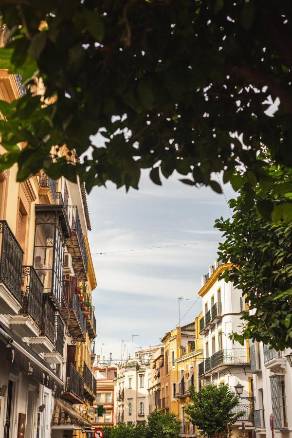 Joya Del Casco Boutique By Shiadu 3* Seville